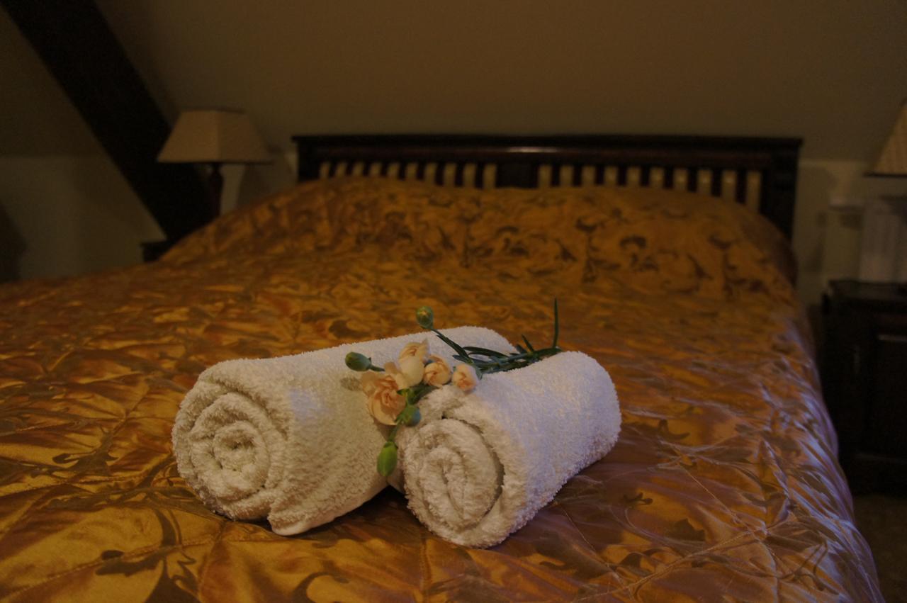 Dworska Elektrownia Hotel Kedzierzyn-Kozle Bagian luar foto